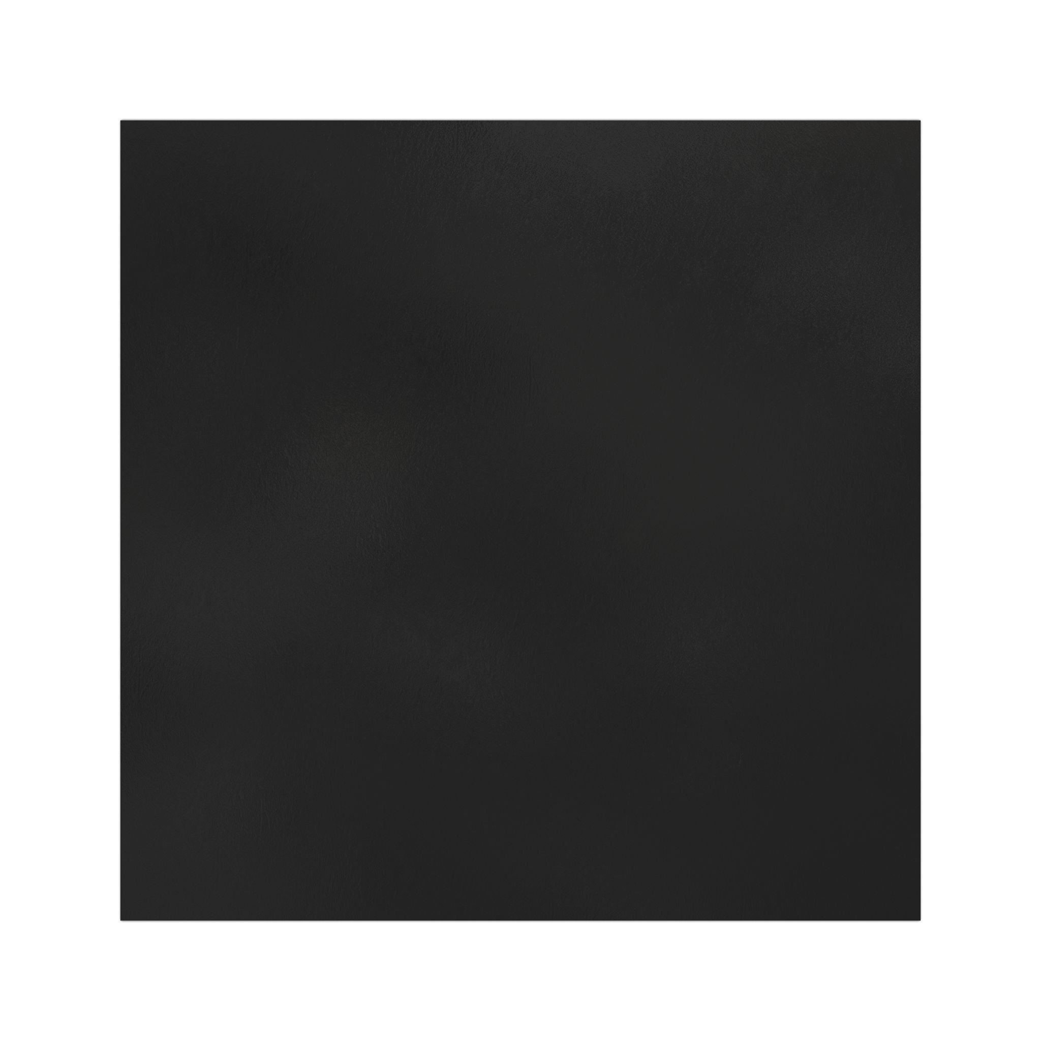 Passenger Princess Car Magnet – Funny Car Accessory for Women